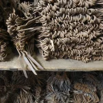 Rangée d'outils artisanaux stockés dans un atelier