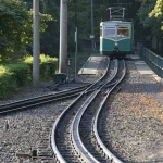 Tram sur les rails dans une zone boisée