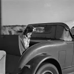 Chien dans une voiture ancienne en mouvement