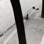 Personnes Assises et Allongées près d'une Rivière Pavée