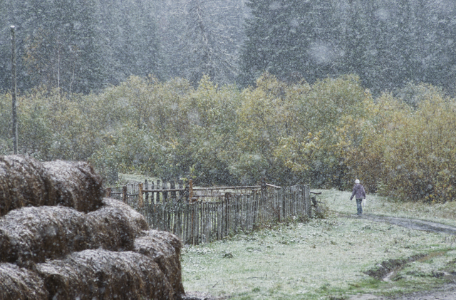 AKG1080664.webp Promenade dans la neige en forêt – Image 1