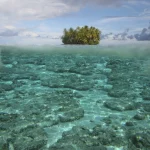 Ile tropicale isolée, vue sous-marine