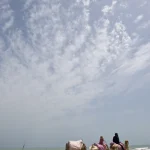 Promenade à dos de chameaux sur une plage avec cerf-volant