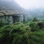 Maison en pierre avec toit de chaume et herbe coupée dans la brume.