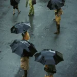 Personnes sous des parapluies noirs lors d'une pluie dans une rue