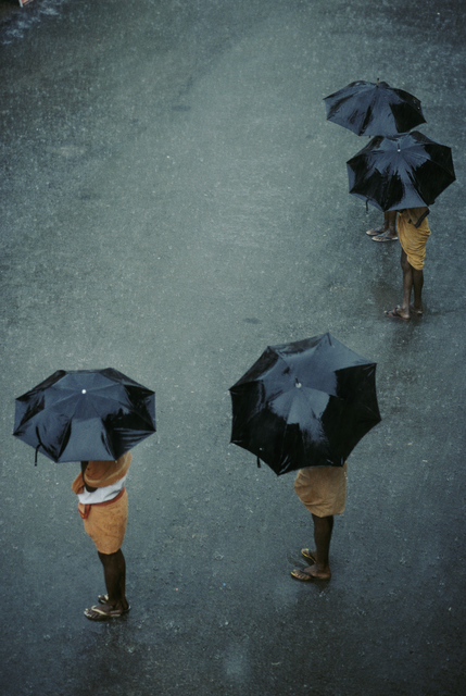 AKG1329432.webp Personnes avec des parapluies noirs sous la pluie – Image 1