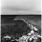 Ligne De Roches Dans Un Champ, Paysage Minimaliste