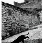 Chat noir devant des ruines fortifiées.