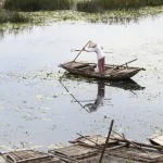 Pêcheur dans une barque traditionnelle sur un lac paisible