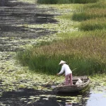 Personne dans une barque sur une rivière bordée de nénuphars
