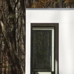 Fenêtre moderne dans la forêt