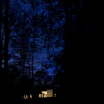 Maison éclairée dans la forêt la nuit