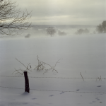 Paysage Hivernal avec Brouillard en Campagne