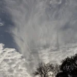 Silhouette d'arbre sous un ciel dramatique