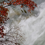 Brindille d'automne au-dessus d'un courant d'eau rapide