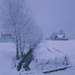 Paysage d'hiver enneigé avec rivière et maison