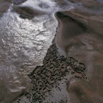 Vue aérienne d'un paysage de marais avec reflets d'eau