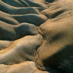 Collines ondulantes au coucher du soleil