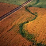Vue aérienne de champs agricoles avec chemin central
