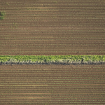 Vue aérienne des cultures agricoles