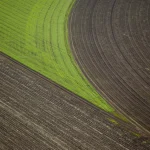 Champs agricoles vue aérienne