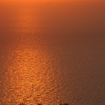 Coucher de soleil sur la mer avec arbres en silhouette