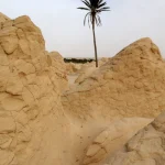 Palmier solitaire dans un paysage désertique