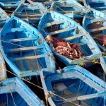 Bateaux de pêche bleus amarrés
