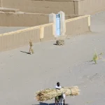 Homme menant un âne chargé de paille devant des maisons en adobe