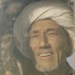 Homme âgé avec un faucon