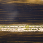 Chemin entouré de champs vue aérienne
