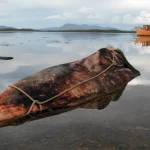 Bateau amarré sur un lac calme avec montagnes en arrière-plan