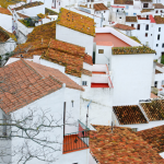 Toits de tuiles colorées dans un village européen traditionnel