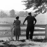 Couple regardant le paysage depuis une clôture