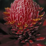 Fleur Rouge en Gros Plan