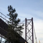 Pont suspendu avec végétation et ciel bleu