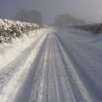 Chemin enneigé bordé de haies en hiver
