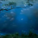 Reflet d'un arbre sur l'eau bleue paisible
