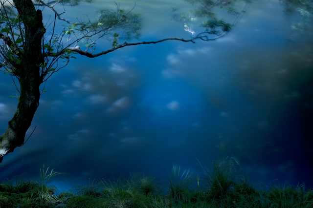 AKG2374730.webp Reflet d'un arbre sur l'eau bleue paisible – Image 1