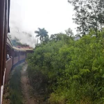 Train à vapeur serpentant dans la jungle tropicale