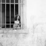 Chien Derrière Les Barreaux d'une Fenêtre