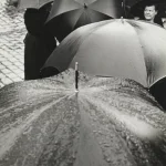 Crowded Street with Umbrellas in the Rain