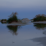 Paysage côtier au crépuscule avec lune montante