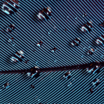 Plume d'oiseau avec gouttes d'eau en gros plan