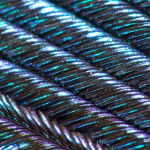 Plume de paon en gros plan