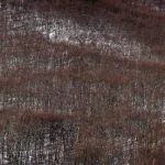 Forêt de Montagne en Hiver