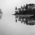 Reflets d'arbres sur un lac brumeux