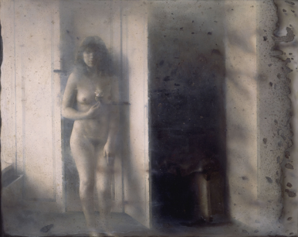 Femme nue en intérieur, effet flou artistique