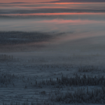 Coucher de soleil au-dessus d'une forêt de conifères enneigée
