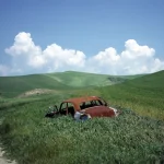 Vieille voiture abandonnée dans un champ verdoyant